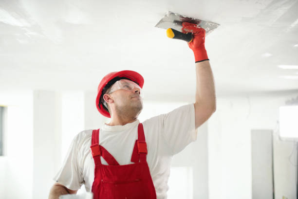 Best Drywall Removal and Disposal  in Somerton, AZ